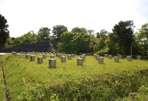 なだらかな斜面を持つ草木の生い茂った高台の麓に、等間隔に配置された銀色の箱状の構造物が多数並んでいる地上の配水池の写真