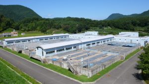 周囲の緑の山々を背景に、大きな長方形の沈殿ろ過池とそれに付随する細長い白い施設が広大な敷地に整然と並んでいる水処理施設の遠景写真