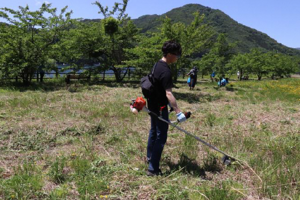 天気の良い屋外の草地で、作業員が草刈り機を使用して、生い茂った草を刈っている、除草作業の風景を捉えた写真