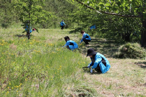 丘陵地にある広々とした芝生の公園のような場所で、青いジャンパーを着た複数の作業員が、点在する若木の周りで、草刈りなどの維持管理作業を行っている写真