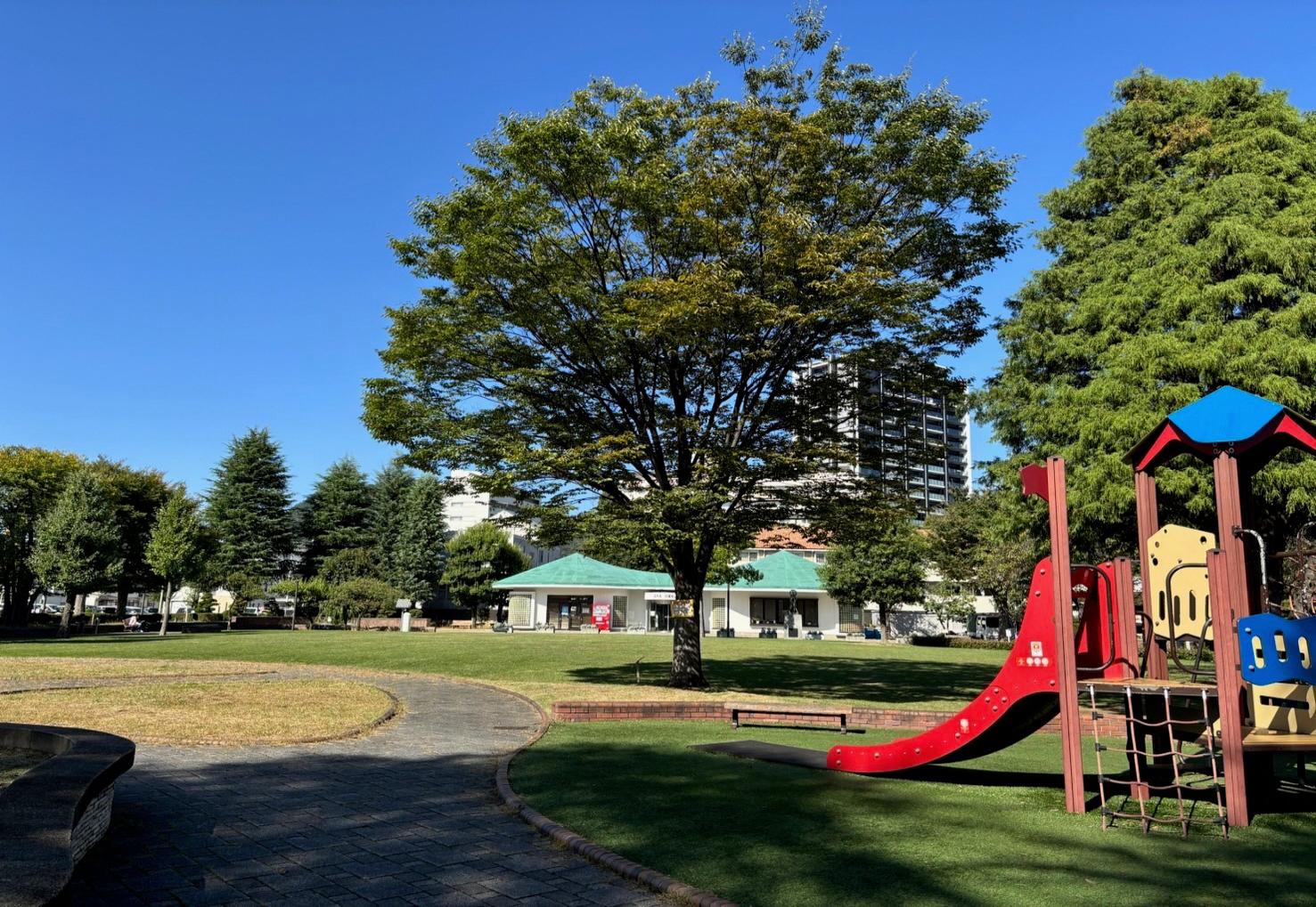 公園の中の写真