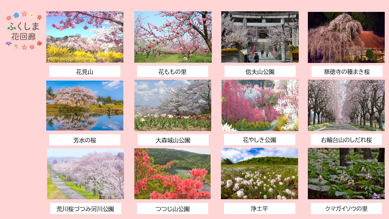 花回廊スポット1(花見山~クマガイソウの里)
