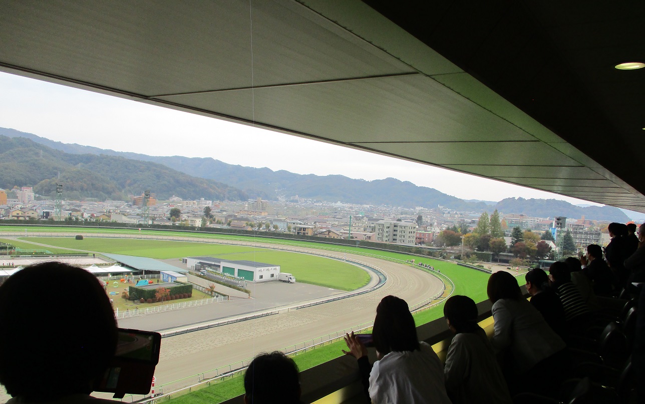 眺めの良い来賓室で競馬を観戦している会員の方々の写真