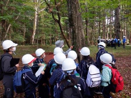 林内散策をしながら木の幹を指さして説明している小鳥の森ボランティアガイドと話を聞いている子供たちの写真