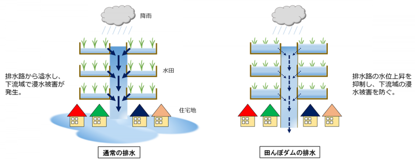 田んぼダムの概要図