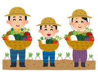 麦わら帽子を被った男の子と両親がカゴいっぱいに野菜を収穫して喜んでいるイラスト