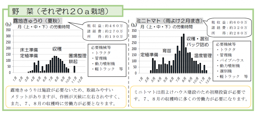 野菜栽培時の経営スタイルの図