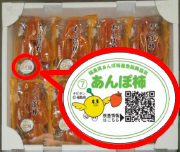 あんぽ柿トレー製品