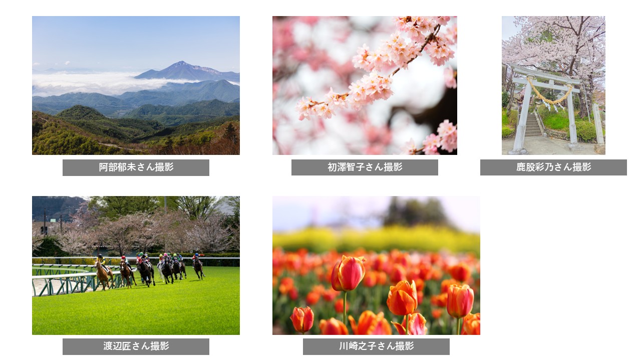 R8市民フォトグラファー撮影写真