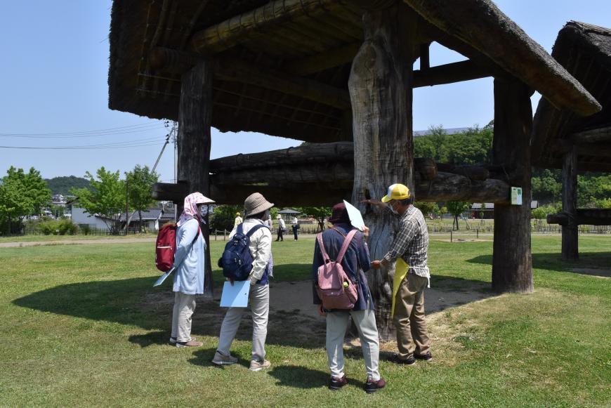 縄文時代の住居の建物の下で説明を受けている参加者を後ろから写した写真