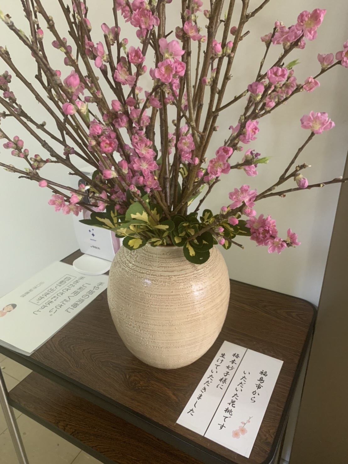 白い花瓶に生けられた濃いピンクの花を咲かせたハナモモの枝木写真