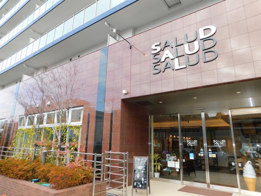 茶色の外壁のSALUD(サルー)の建物外観の写真