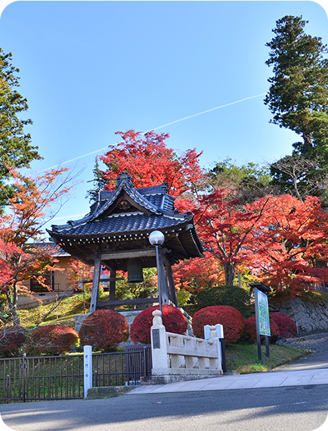 紅葉したもみじが広がり、中央に梵鐘がある写真