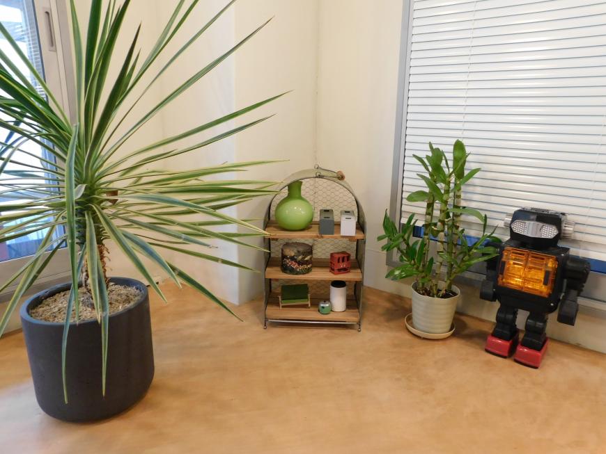 鉢に入った植物やロボットが床に置かれたラウニオン室内の写真