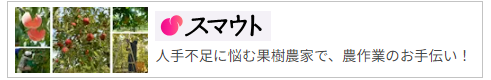 スマウトへのリンク