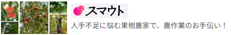 スマウトへのリンクバナー