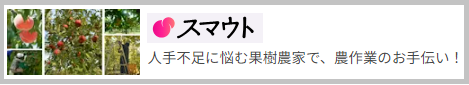 スマウトバナーリンク