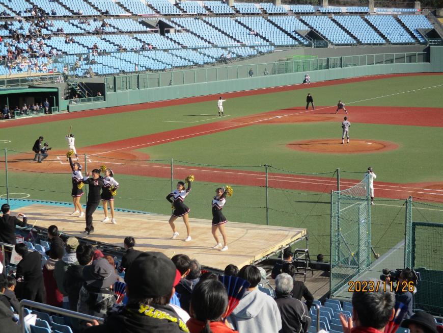 観客席前方に設置された台の上で4人のチアリーダーが黄色いポンポンを持って応援をしている様子の写真