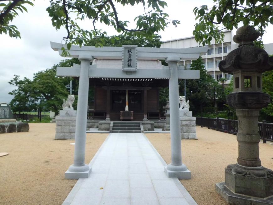 参道の先に鳥居、狛犬、社殿がある板倉神社の写真