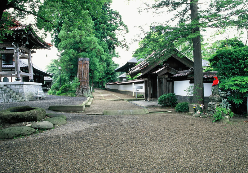 左側に鐘が吊らされた鐘楼、中央に大きな木々に沿って伸びている歩道、右側に白壁の塀がある医王寺入口付近の写真
