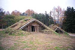 土がのせられ草が生えている屋根が地面まで伸びている復元された中期の竪穴住居の写真