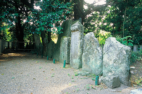 大きさが異なる石板が手前から奥へと横一列に並んでいる医王寺の石造供養石塔群の写真