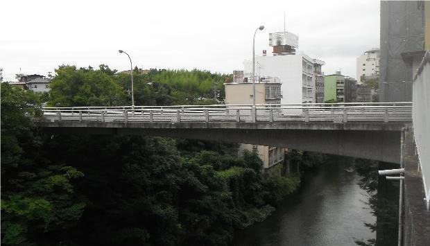 街の中を流れる川の上に架けられた新十綱橋を横から全体を撮影した写真
