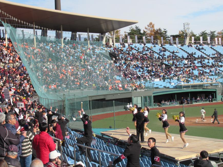 早稲田野球戦にて、観客席で黒の学ランを着た応援団とチアガールが会場を盛り上げている様子の写真