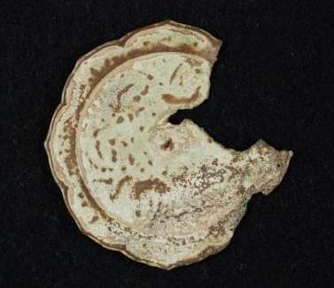 一部が欠け薄っすらと模様が見える瑞花双鳳八稜鏡の鏡背側の写真