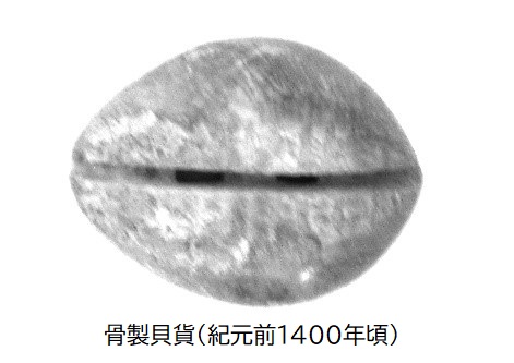 中央に1本線の割れ目が入っている骨製貝貨の写真