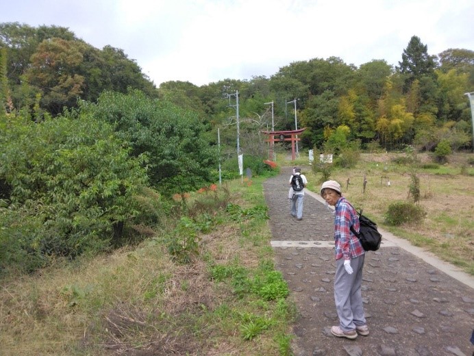 奥に赤く綺麗な鳥居が見える御神坂を歩いていく受講者たちを撮影した写真