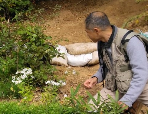 白く綺麗な花であるノコンギクについて説明する講師を撮影した写真