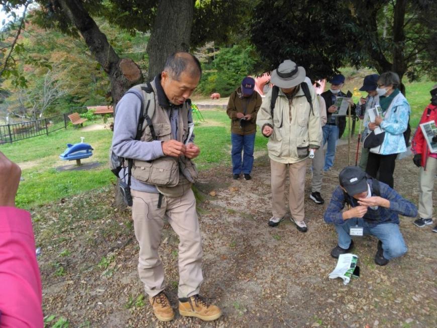 木の下に大量に落ちているどんぐりを拾う受講者たちを撮影した写真