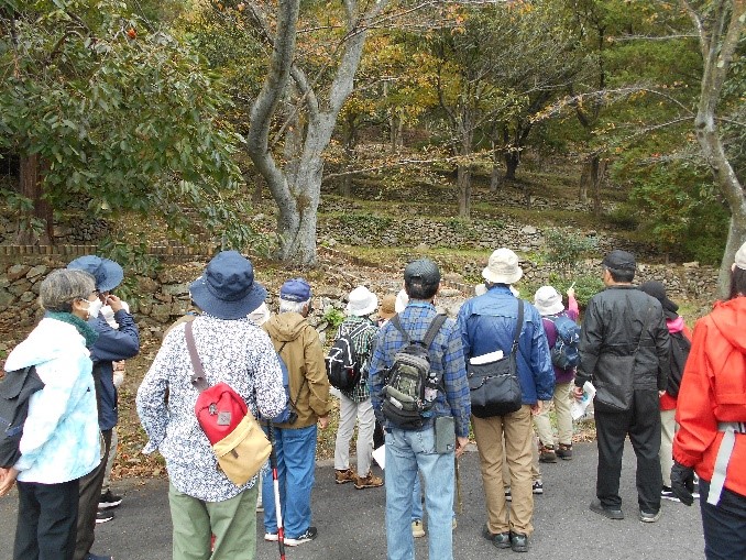 小金山公園の付近にある綺麗に積まれた昔の果樹園の石垣を眺める受講者たちを撮影した写真