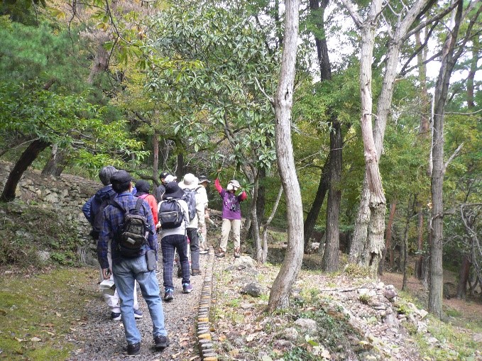 整備された歩道の横に植えられたビワの木の説明をする講師と受講者たちを撮影した写真