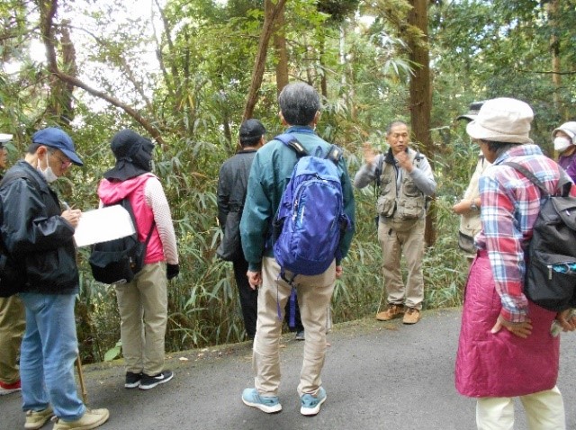 道路の横に生えるヤダケについて説明する講師と集まって話を聞く受講者たちを撮影した写真