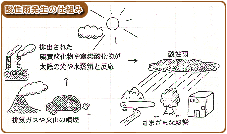 酸性雨発生の仕組みイメージ 排気ガスや火山の噴煙→排出された硫黄酸化物や窒素酸化物が太陽の光や水蒸気と反応→酸性雨が降り様々な影響