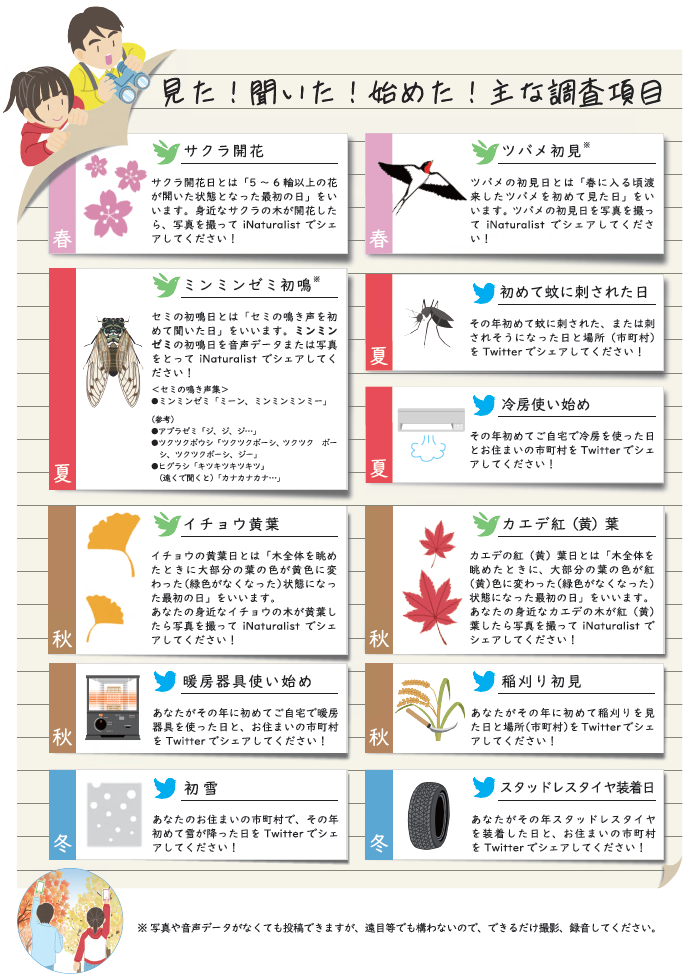 見た!聞いた!始めた!主な調査項目