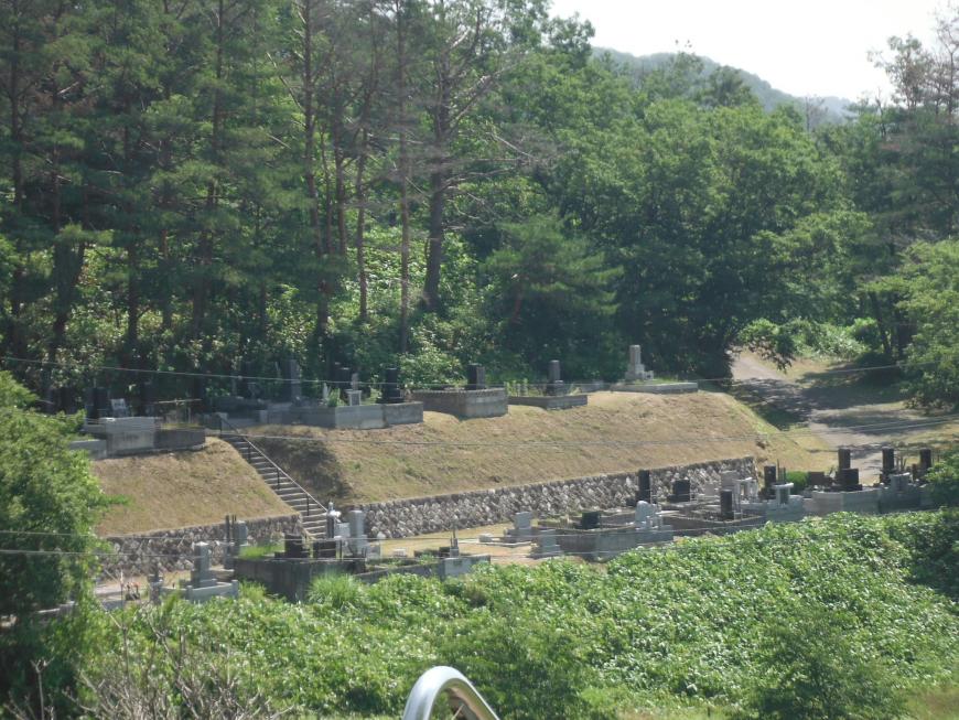 大きな木がたくさんあり緑豊かな敷地内に墓石が並んでいる天王寺墓地の写真