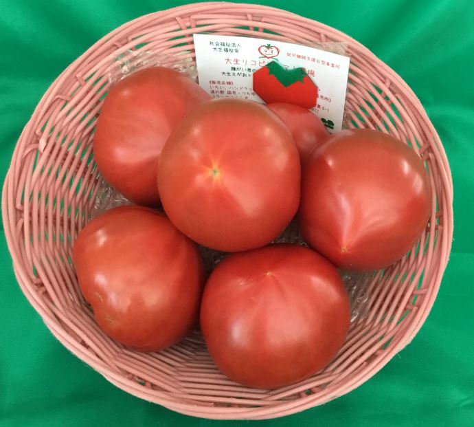 カゴの中に入った6個入り1キロの大生えがおトマトの写真