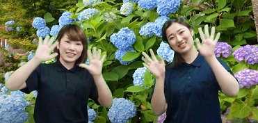 手話動画vol.14が表示された画面キャプチャ