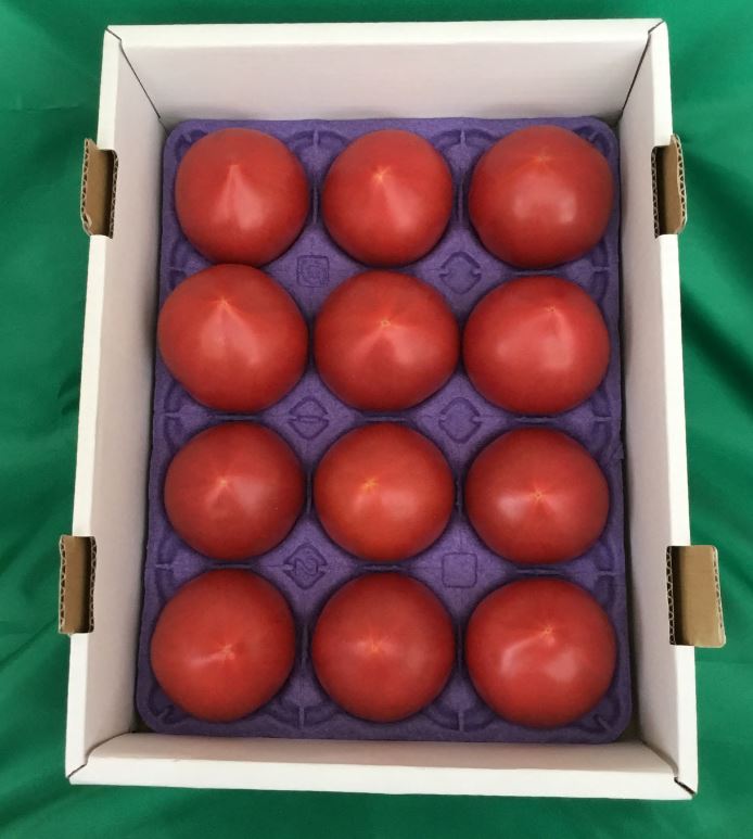 白色の段ボールに入った12個入りの2キロの贈答用トマトの写真