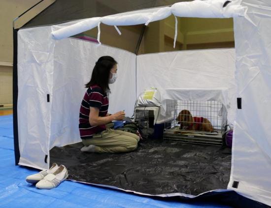 入り口の幕が上がったテントの中に置かれたケージに茶色の犬が寝そべっており、その手前に女性が座っている写真