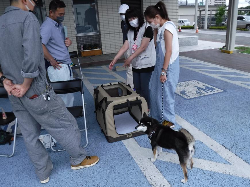 女性が持つリードに繋がれた黒い犬を、指導役の女性が布製のケージに入るよう誘導している写真