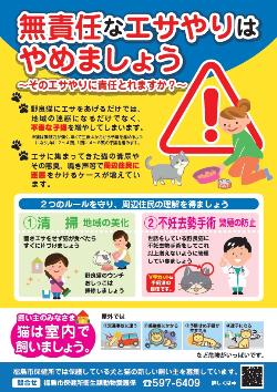 猫_無責任なエサやりはやめましょう