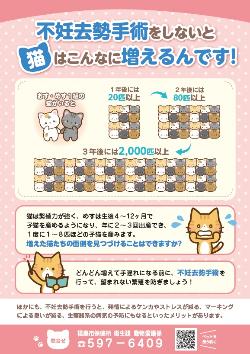 ねこはこんなに増えるんです!
