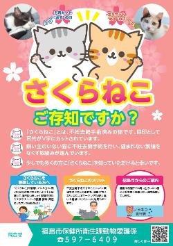 さくらねこご存知ですか?