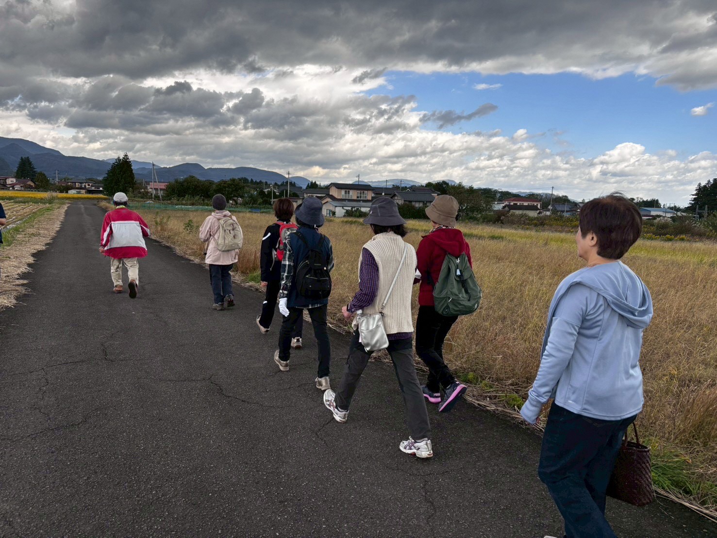 ウォーキングの様子