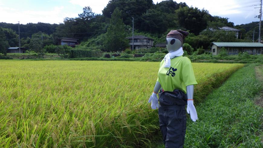 田んぼの端にUFOの顔をしたかかしが設置された写真