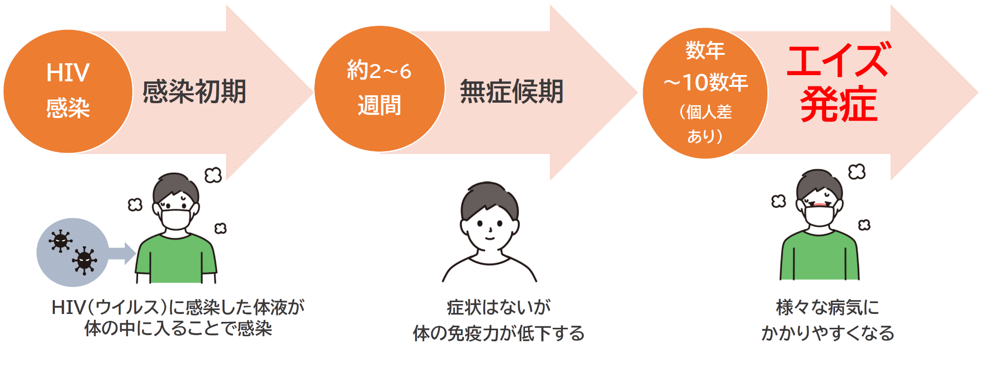 HIV感染初期からエイズ発症までの経過